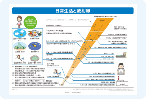 どれくらいの放射線を浴びると体に影響がある？