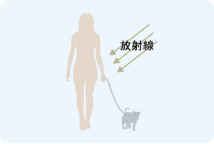 シーベルト(Sv)ってなに？