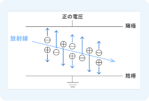 放射線ってどうやって測るの？