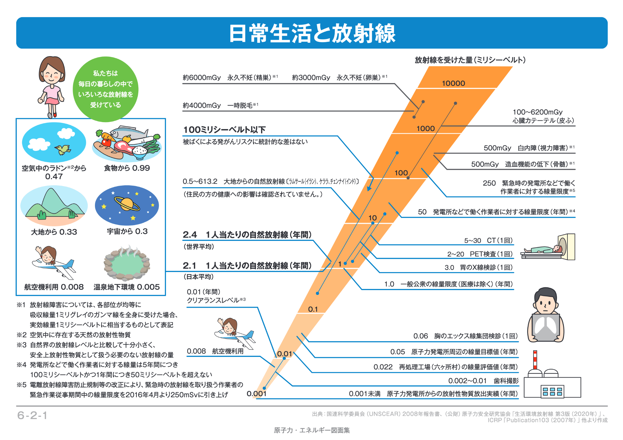どれくらいの放射線を浴びると体に影響がある?