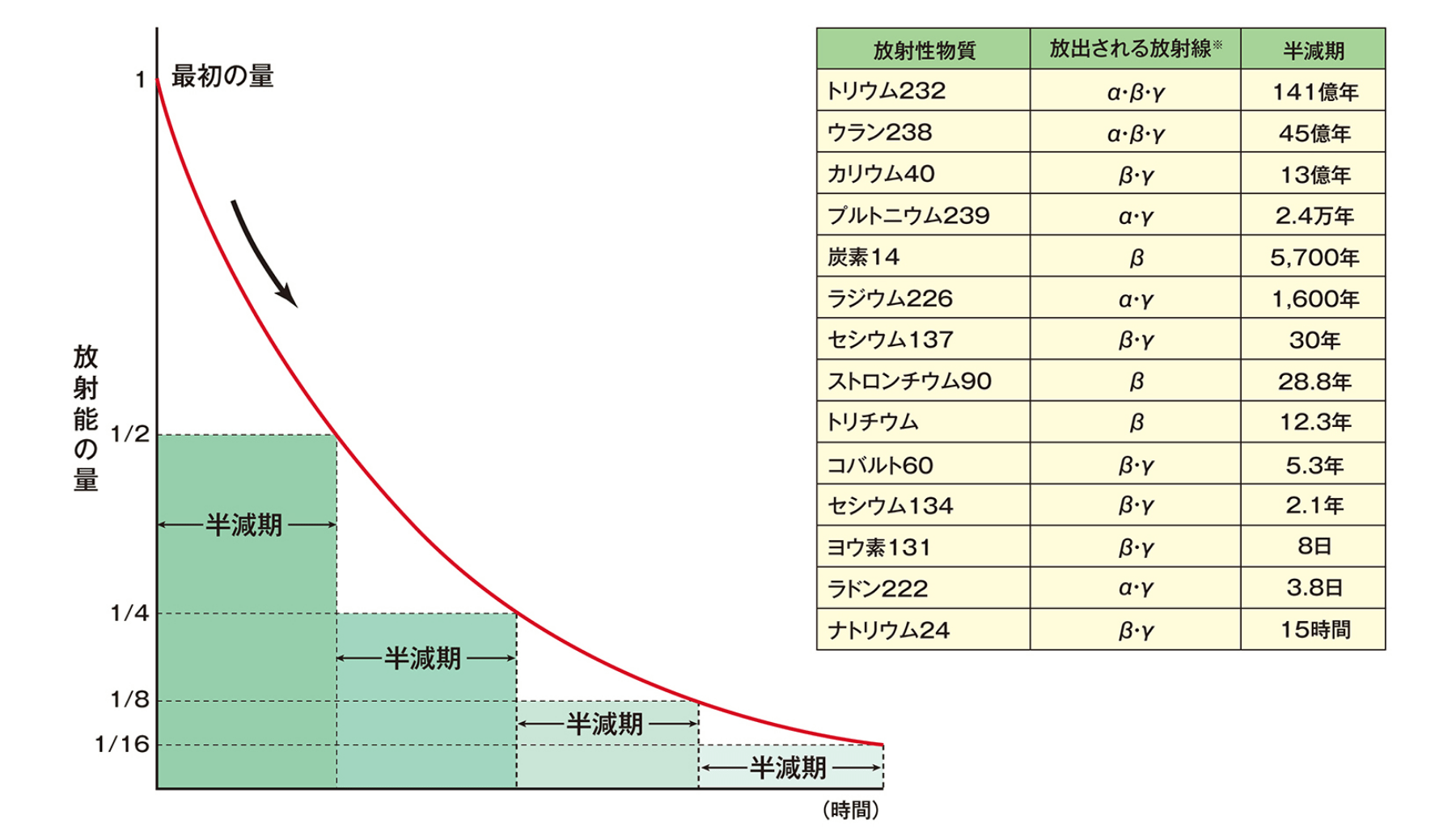 半減期ってなに?