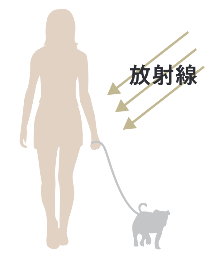 シーベルト(Sv)ってなに?