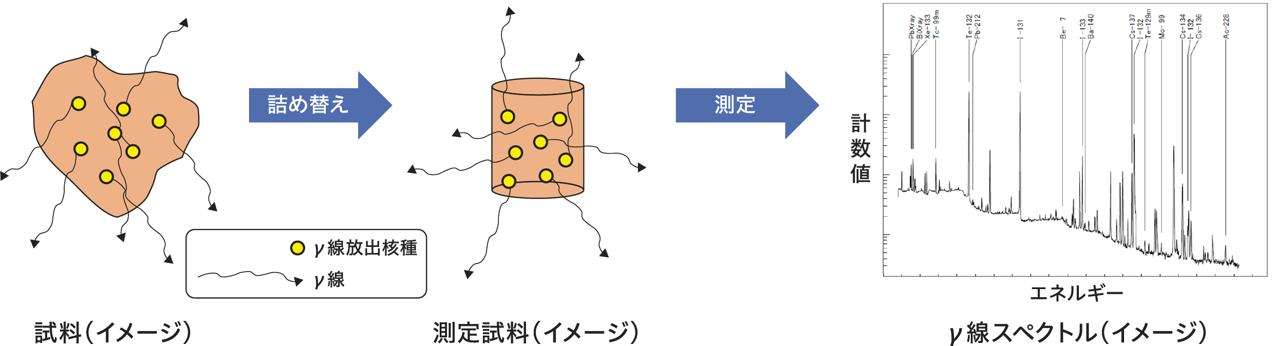 ガンマ(γ)線を出す核種ってどうやって分析するの?