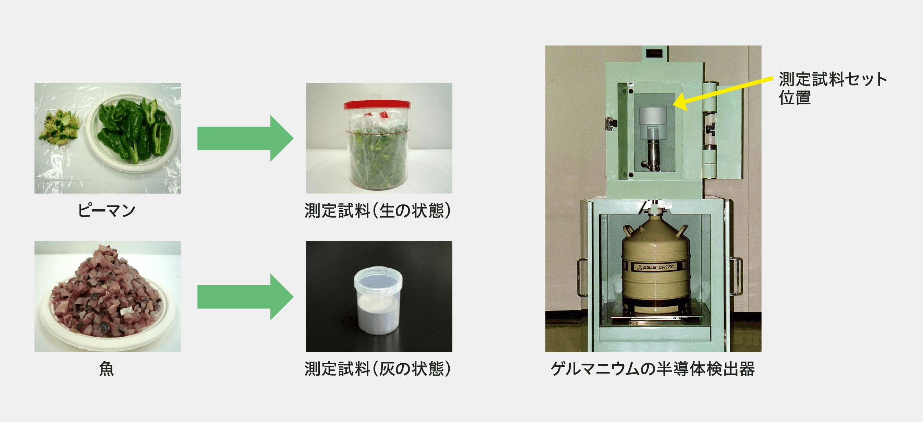 ガンマ(γ)線を出す核種の分析方法