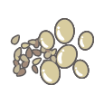 豆・ごま類