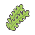 海藻