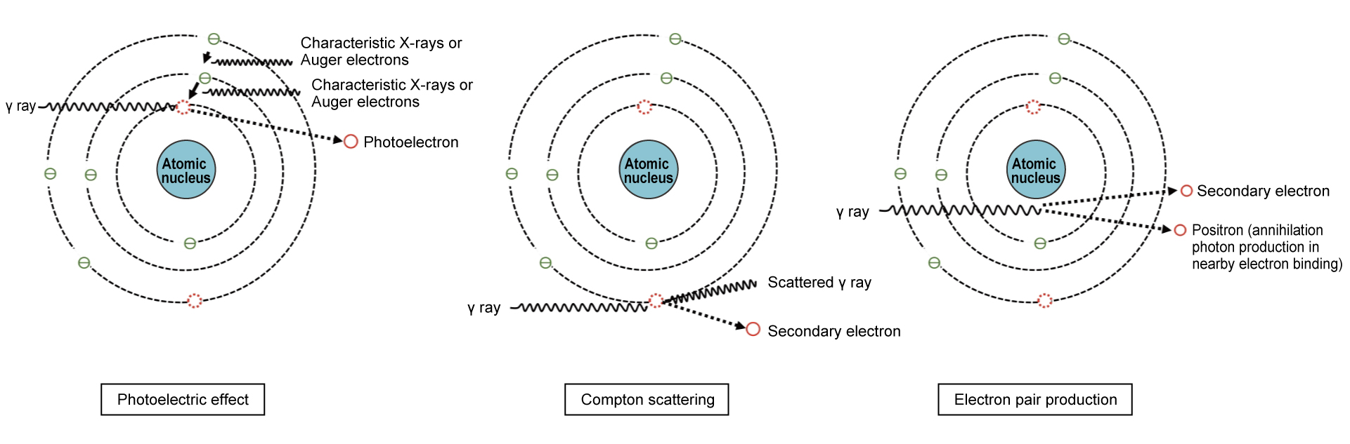 Measurement principle for γ-ray emitting nuclides (germanium semiconductor detector)