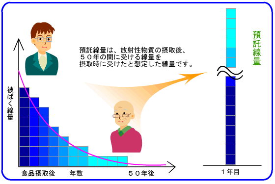 預託線量の説明イラスト