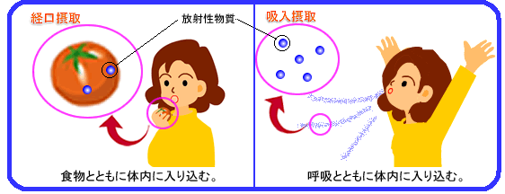 経口摂取、吸入摂取の説明イラスト