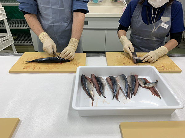 魚類の前処理の写真