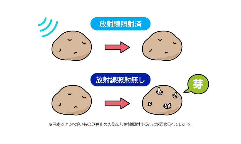 食品への利用