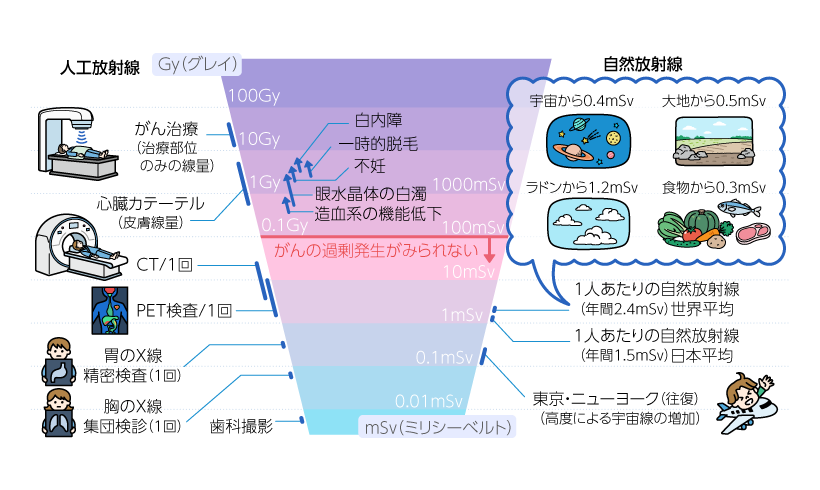 放射線って危なくないの？