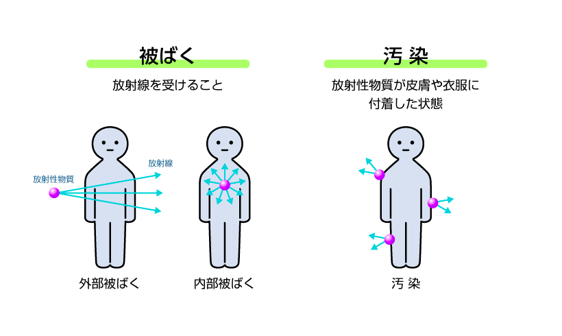 被ばくと汚染の違い