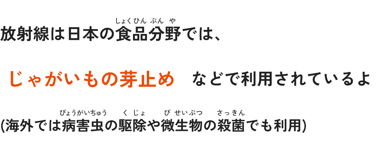 放射線は日本の食品分野では、じゃがいもの芽止めなどで利用されているよ (海外では病害虫の駆除や微生物の殺菌でも利用)