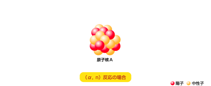 （α，n）反応による中性子放出
