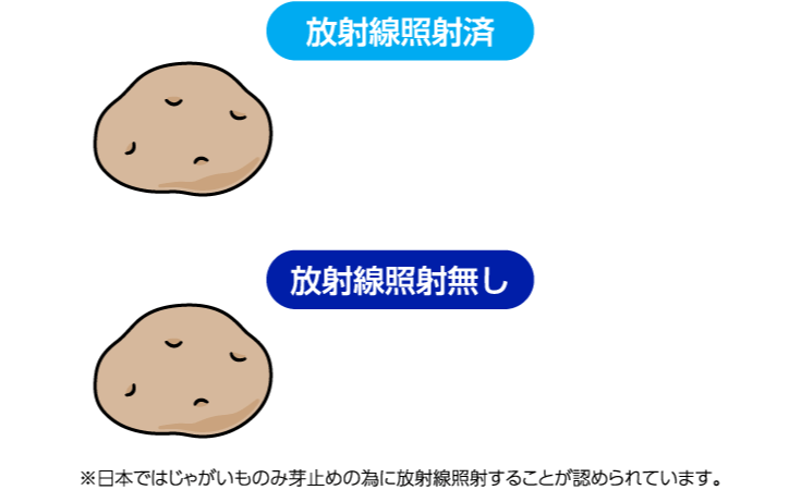 じゃがいもの芽止め