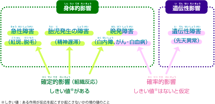放射線の人体への影響