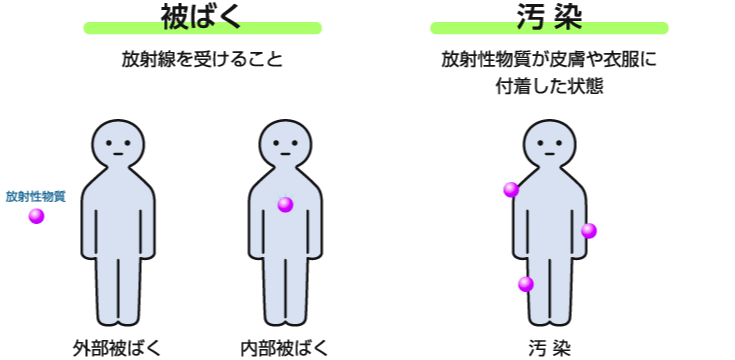 被ばくと汚染の違い